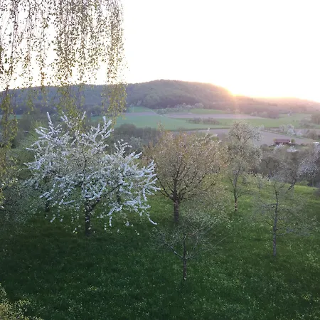 酒店 索奈克酒店 施韦比施哈尔